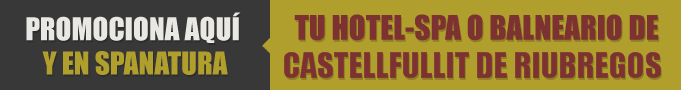 Tiendas en Castellfullit de Riubregos